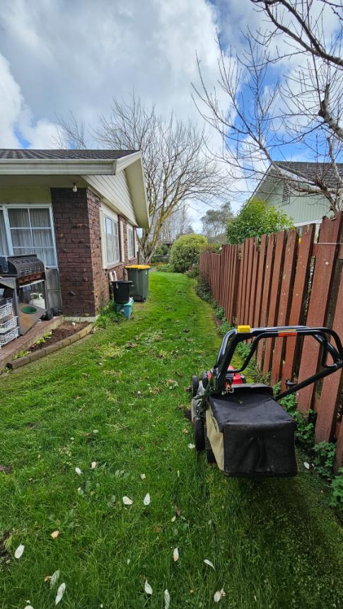 Narrow side lawn beside a Waihi house cut with a push mower