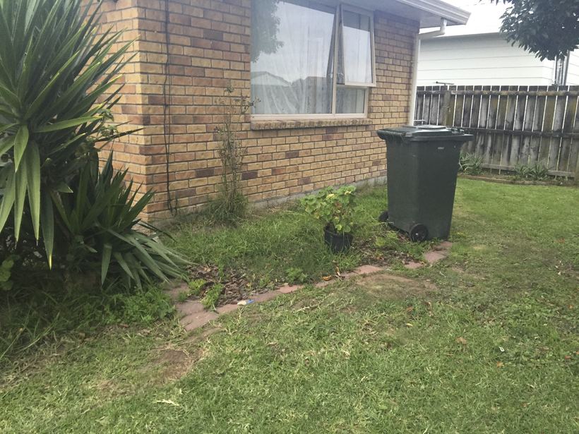 Overgrown section edges and borders being cleared at a Waihi property