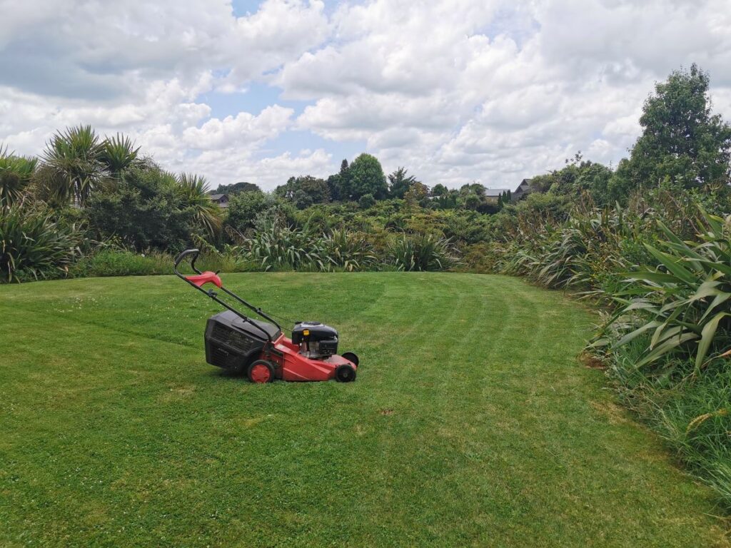 coastal lawn and property care Lawn Mowing coastal lawn and property care Lawn Mowing